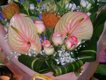 Composizioni regalo con piante e fiori recisi